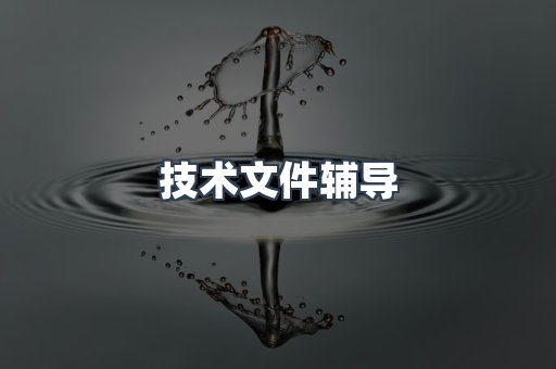 技术文件辅导